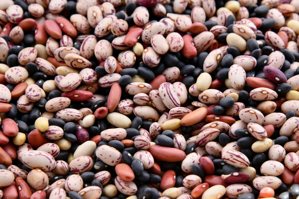 Beans are best consumed in moderation.