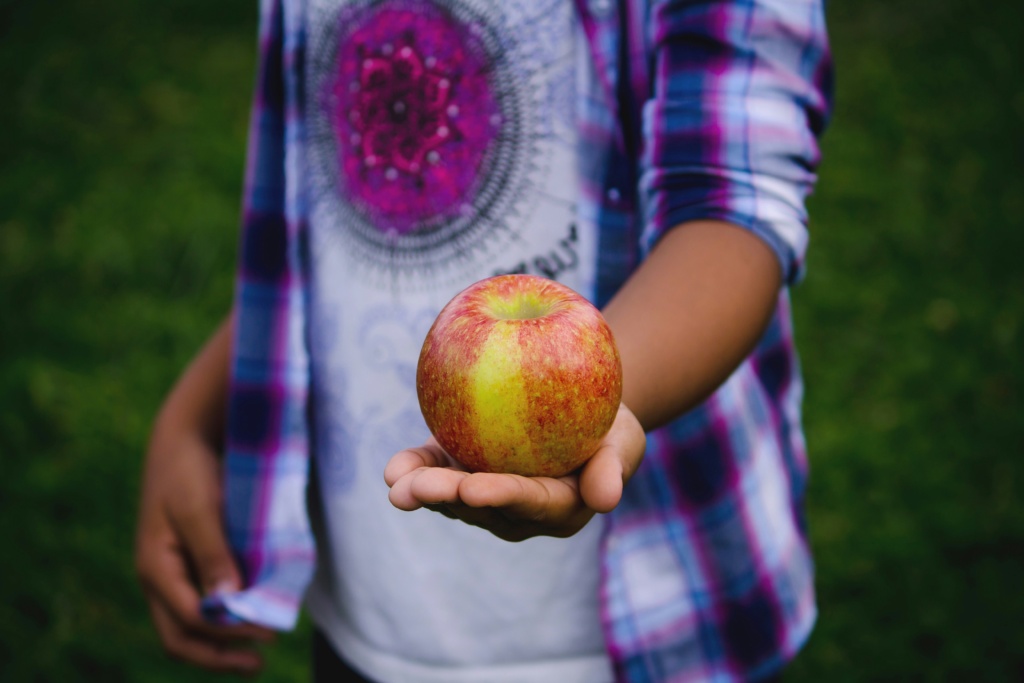 Fruit like apples will keep your kids healthy throughout the school year.