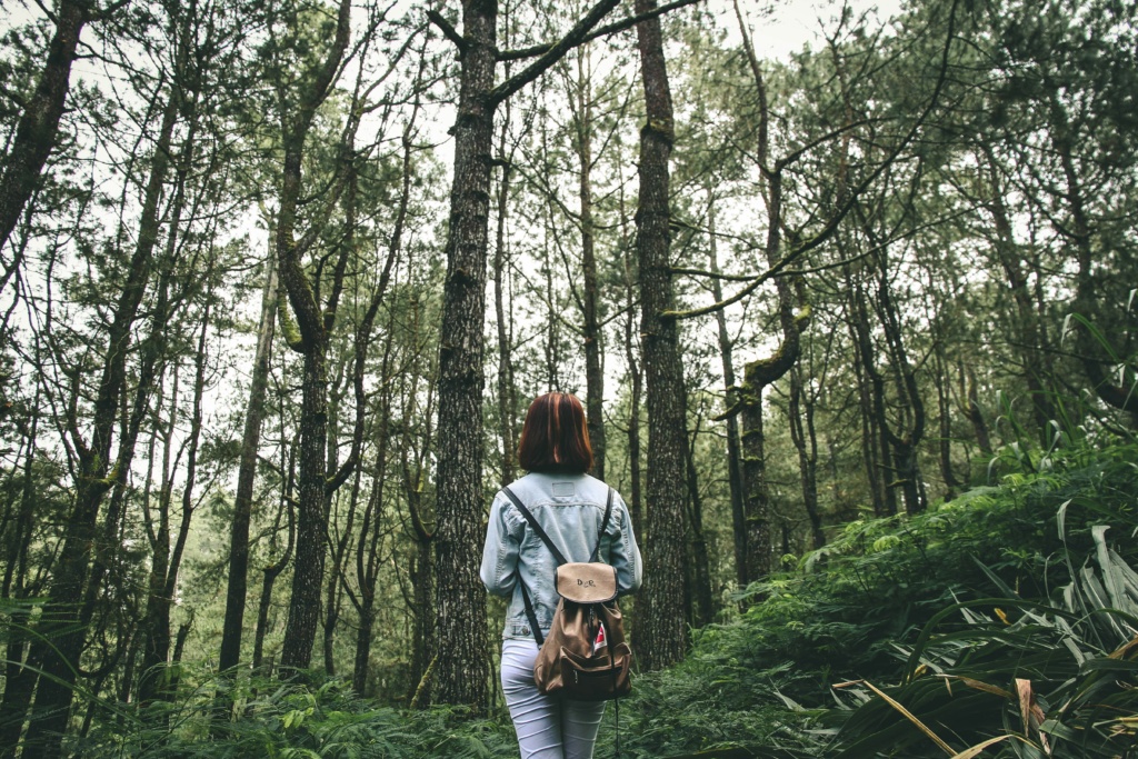 A woman walking through a park connecting with nature.